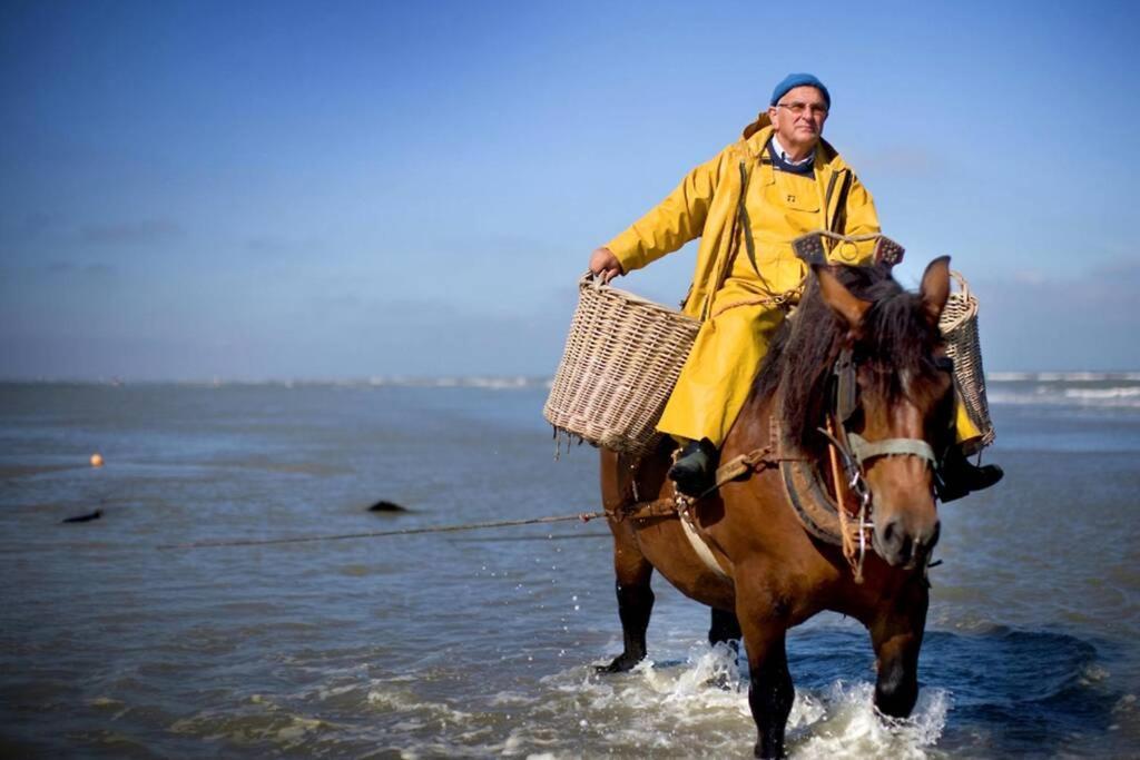 Zeezonzand Koksijde Kültér fotó