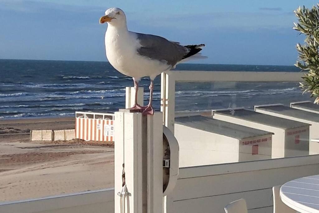 Zeezonzand Koksijde Kültér fotó